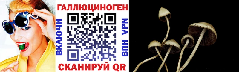 цены   kraken   Псилоцибиновые грибы Psilocybine cubensis  Светлый 